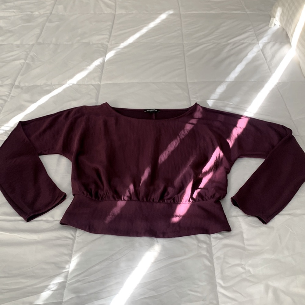 Express Faux Silk Ruched Back Long Sleeve Top, Size Small-Petite, Purple
